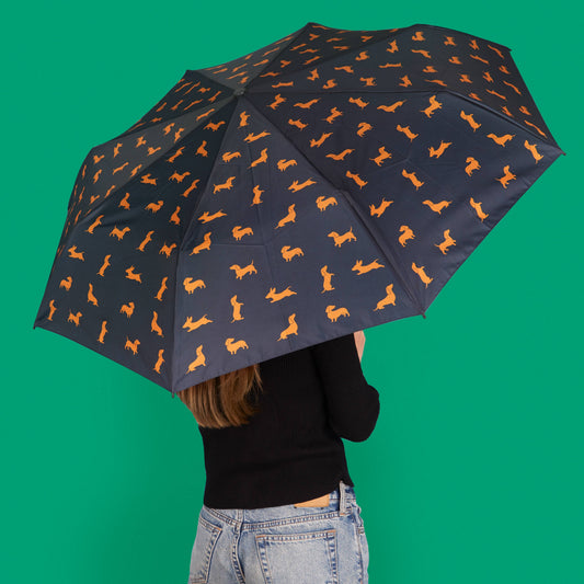 Festive Black & Tan Sausage Dog Umbrella