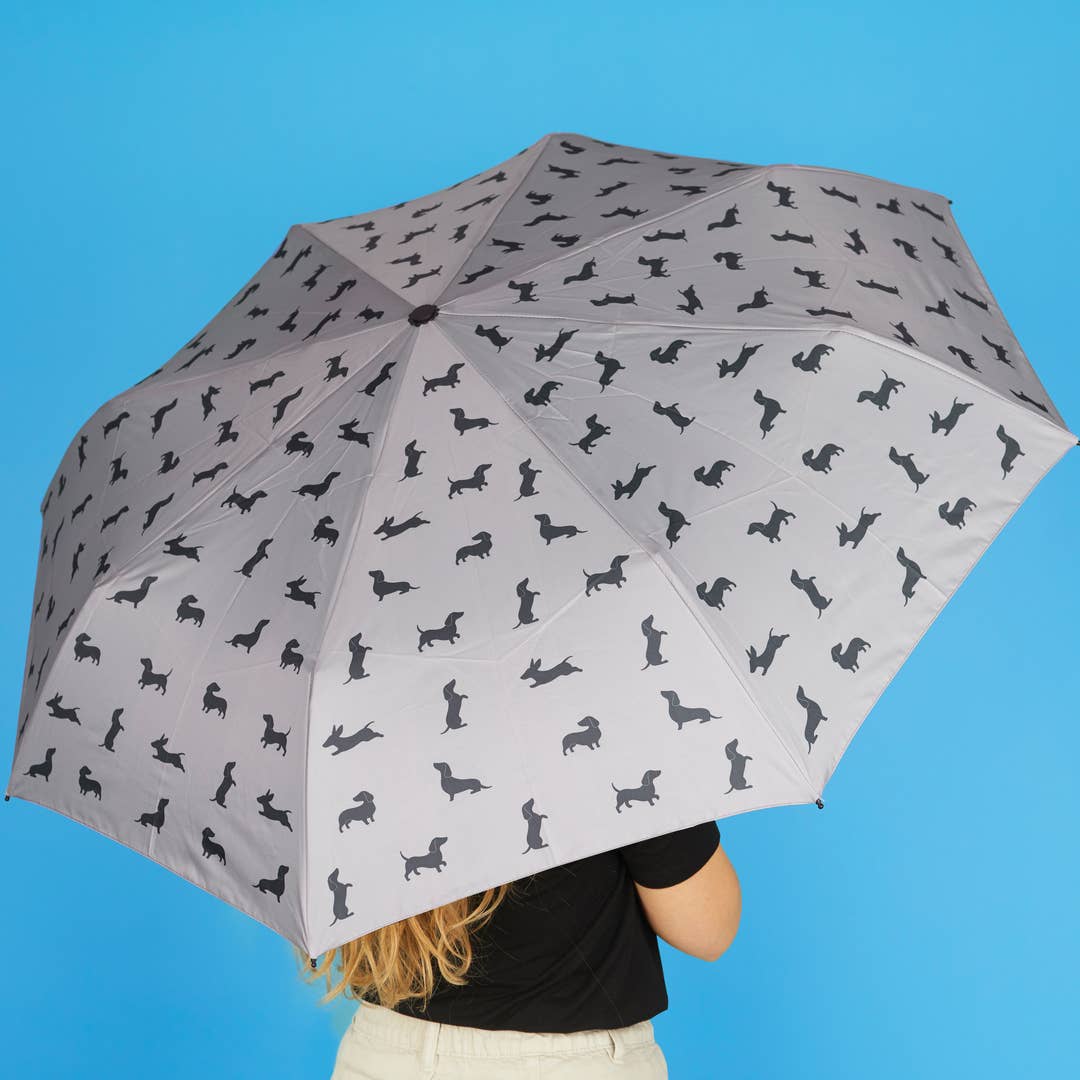 Grey Dapple Sausage Dog Umbrella